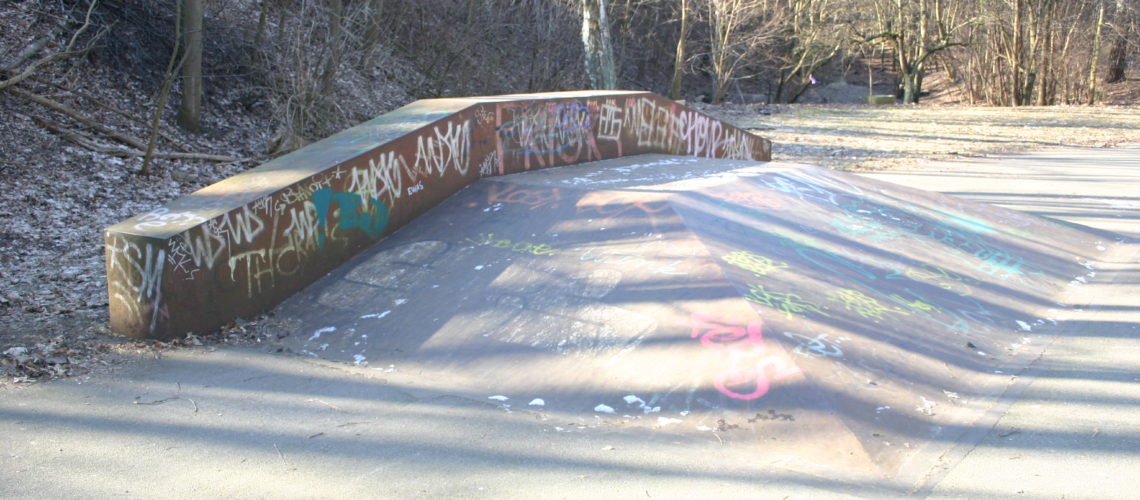 Holmehaven Skatepark Overview